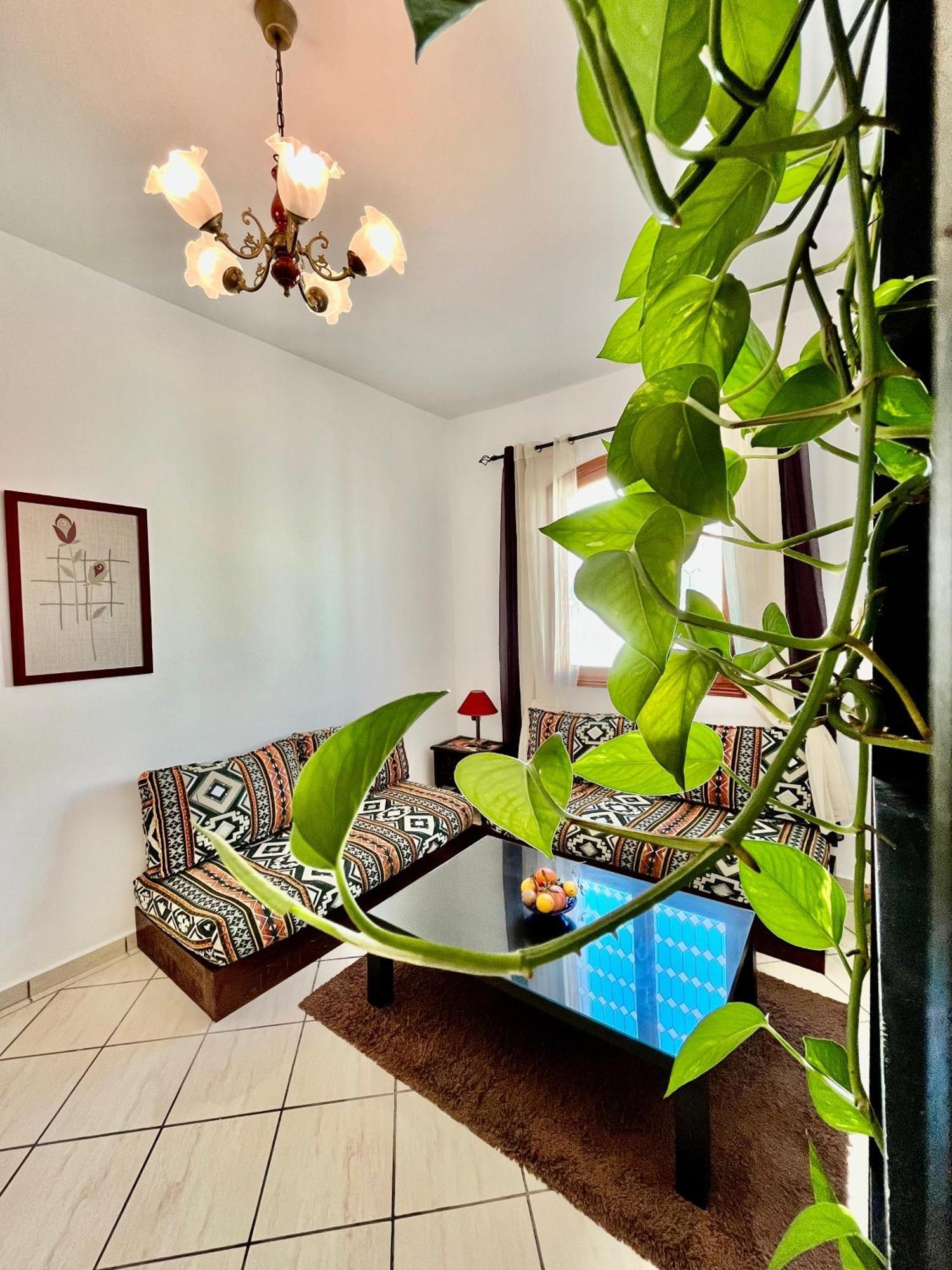 Ambre Appartement エッサウィラ エクステリア 写真